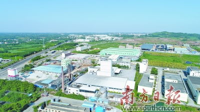 湛江遂溪 6 1 行動計劃奏響發展最強音